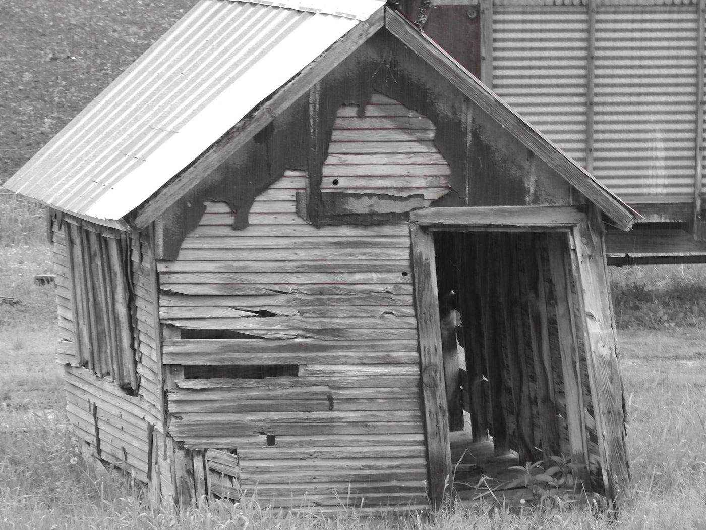 Shed Removal Project