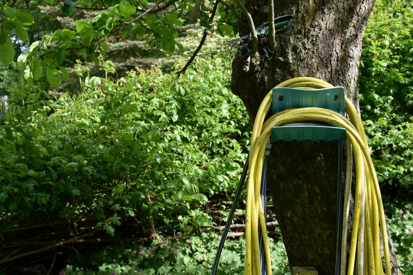 Yard Waste Removal in Powhatan, NC