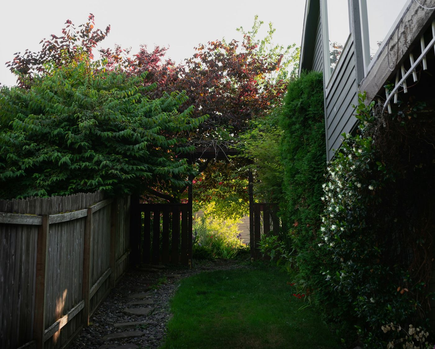 Landscaping