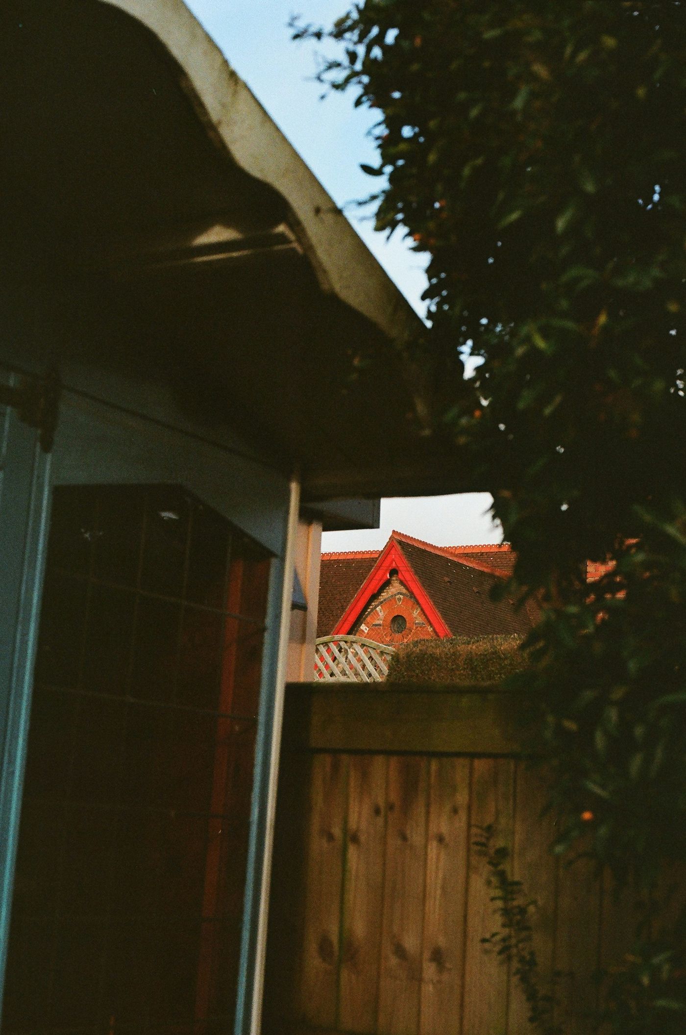 Shed Area Cleanup in Apex, NC
