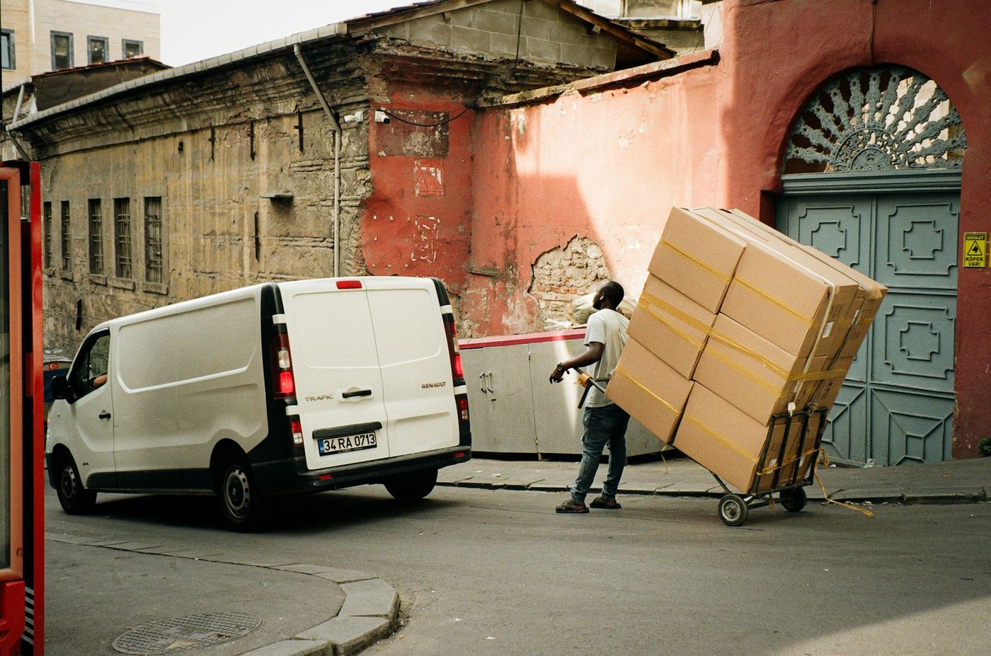 Professional Removal