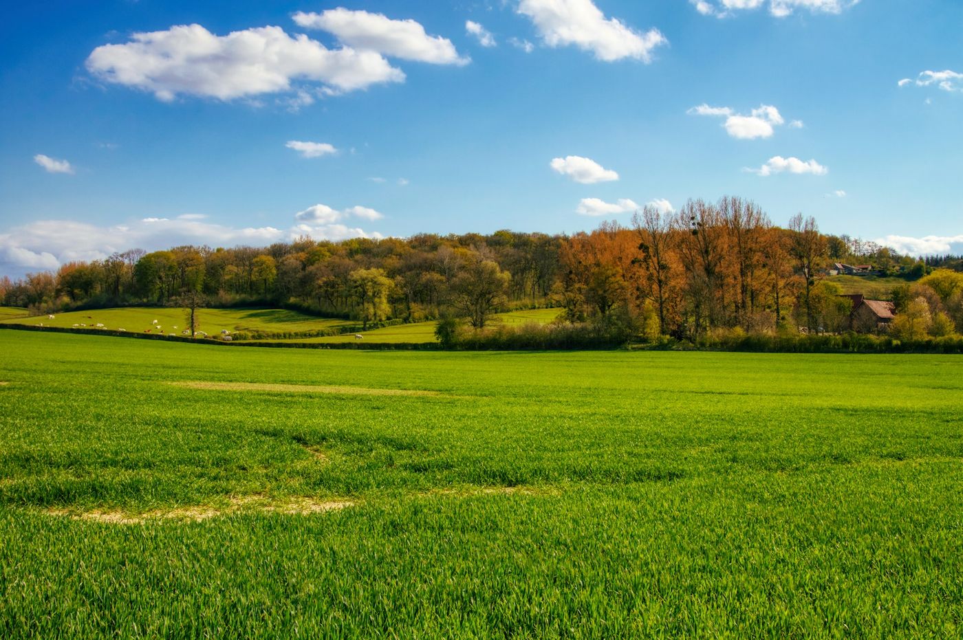 Large Residential Lots in New Hill, NC