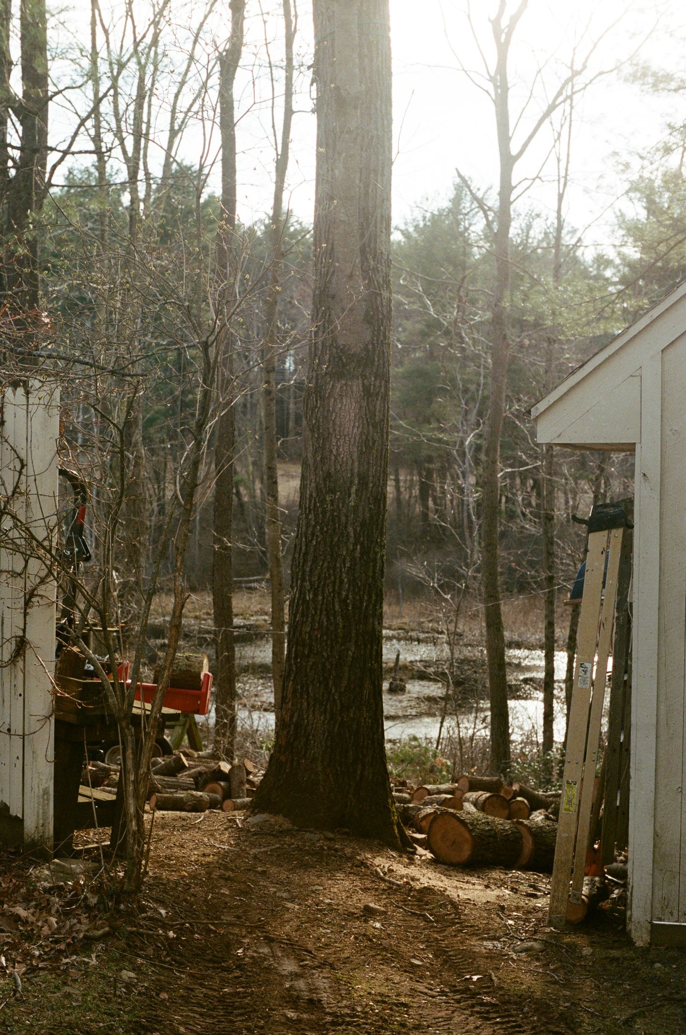 Workshop Sheds