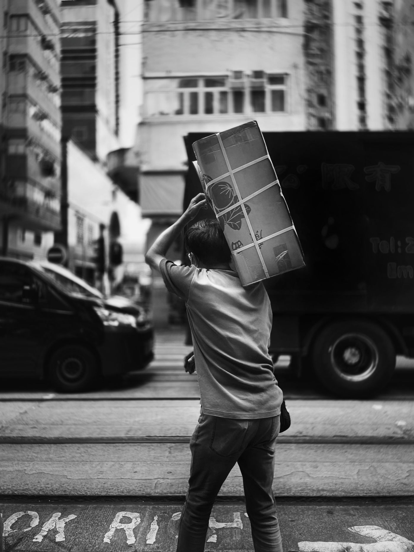 Professional Removal, Cary junk removal