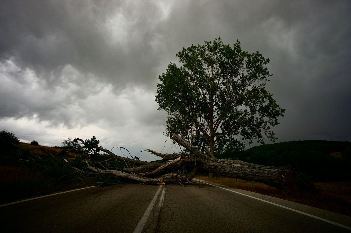 Storm Cleanup in Four Oaks, NC