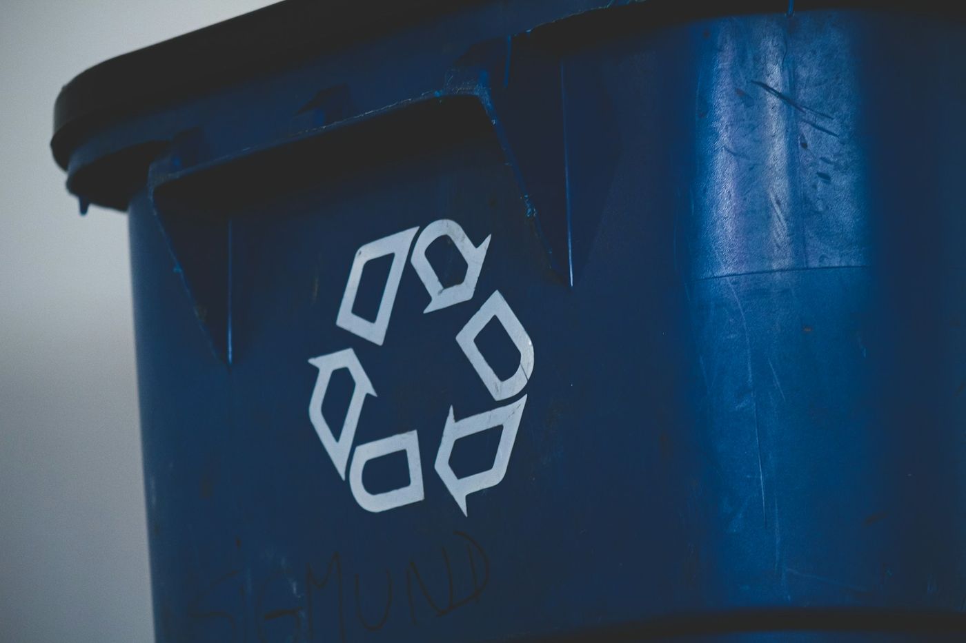 Recyclable materials sorted and ready for processing