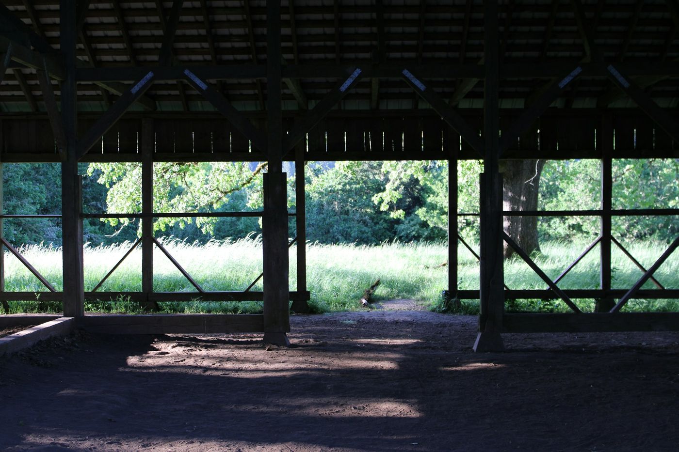Shed Removal in Four Oaks, NC, before
