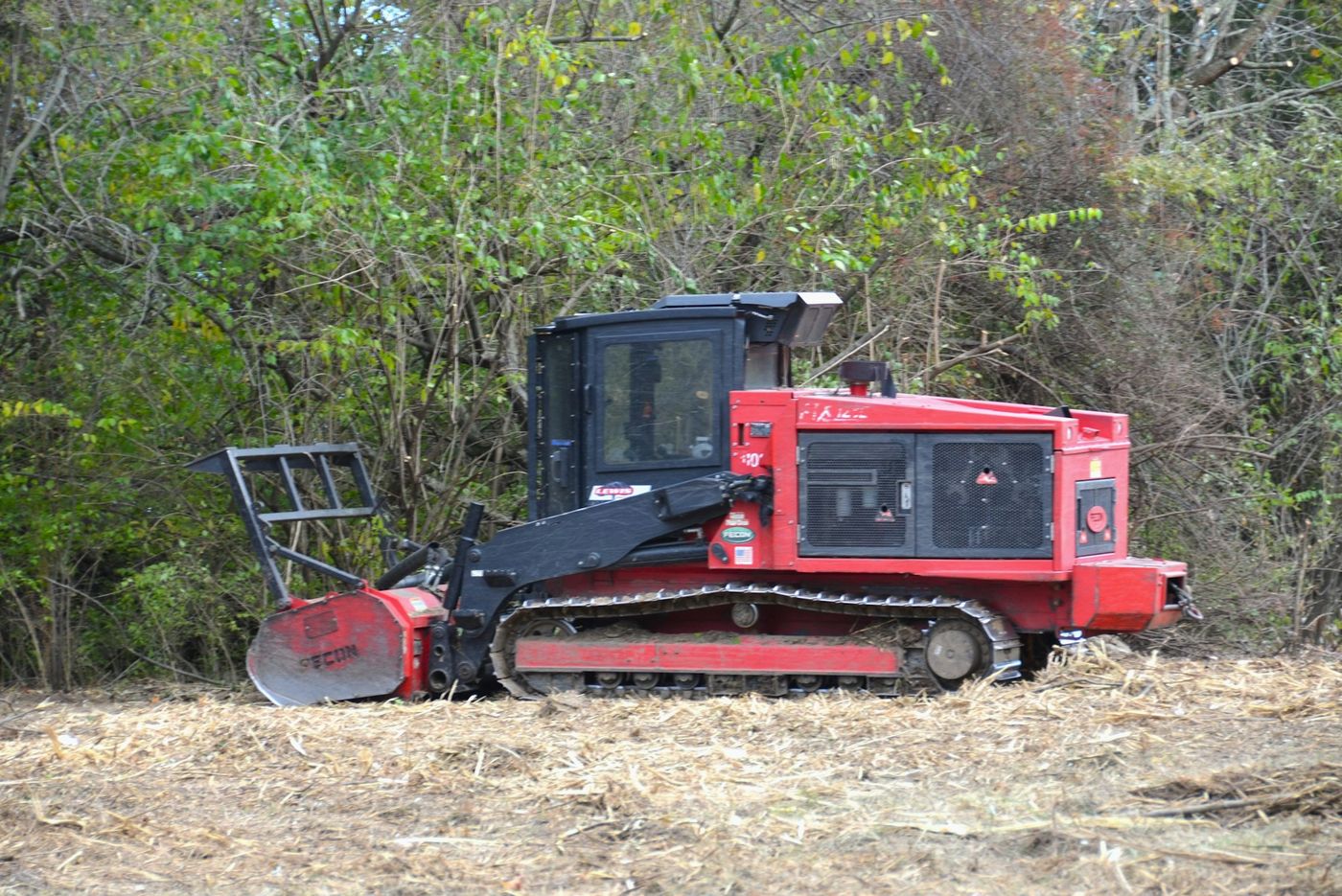 Yard Restoration