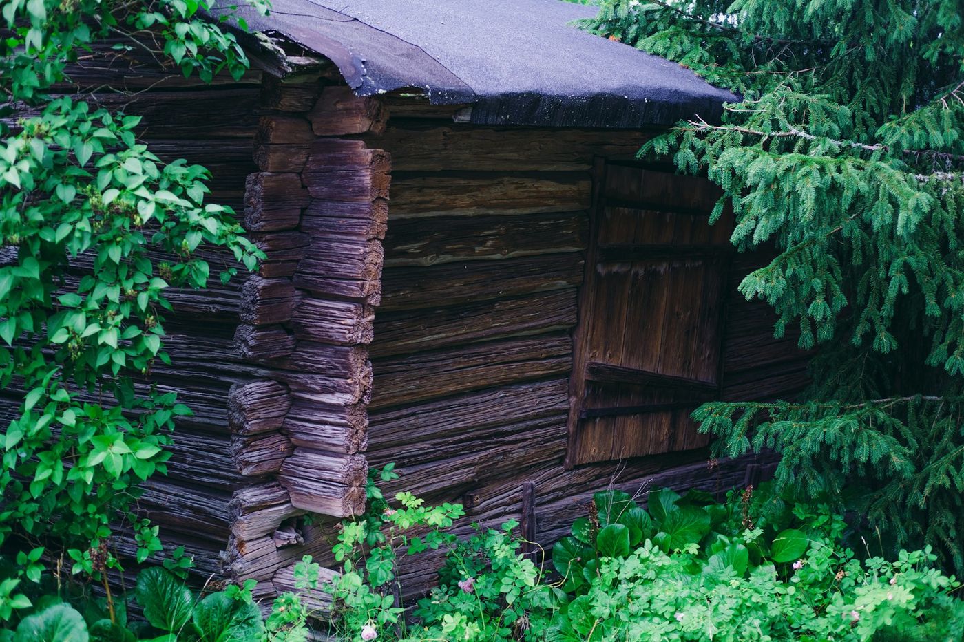 Shed Removal in Zebulon, NC
